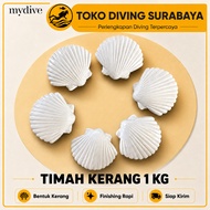 MYDIVE SHELL Weight Tin 1kg (1000g) Scuba/Freediving/Spearfishing Lead/Amscud-type