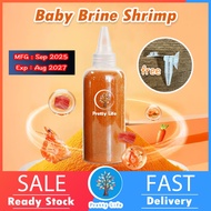 🐟 Free Feeder🐟 Betta Fry Food Instant Baby Brine Shrimp Eggs No Hatching (can't hatched baby guppy)