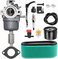 799727 698620 Carburetor for BS 287707,28N707,28Q777,791886,495935,690194,498061,499153,28N777,28P77