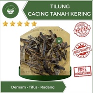 Di Long Tilung Cacing Tanah Kering Obat Tipes Demam Tifus 35 Gram