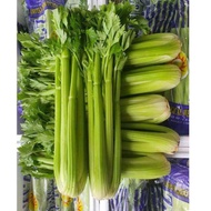 พร้อมส่ง‼️(1kg) เซเลอรี่สดนำเข้า celery ขึ้นฉ่ายฝรั่ง