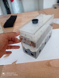 FILTER internal aquarium tanpa kuras NEW