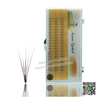 Eyelash Extension W type 5D 0.07B (1)