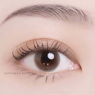 คอนแทคเลนส์ Mini bom Gray/Brown (Kitty Kawaii) ขนาดมินิ