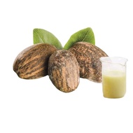 Refined Shea Oil Carrier Oil Base Oil