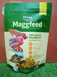 Trial Pack Maggot Maggfeed by Biomagg [Maggot for channa, Arowana, Louhan &amp; Koi][Makanan Channa][Maggot bsf for channa]
