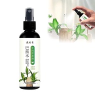 Brazilian Wood Plant Food,Lucky Bamboo Liquid Fertilizer,Hydroponic Brazilian Wood Nutrient Solution