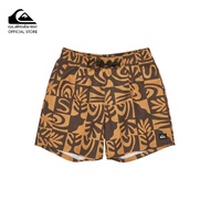 Quiksilver Mens Everyday Straight 17" Swim Shorts