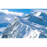 Used CD/VCD/DVD/Blu-ray Clearance 🎬 Mixed Movie Collection | Action, Cartoon, Comedy & More