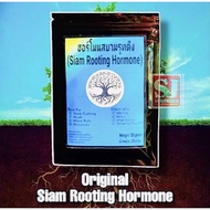 [30g &amp; 50g] Original Thailand Siam Rooting Hormone/Baja akar /Hormon Penggalak Akar/Keratan Batang Tut/Nusery