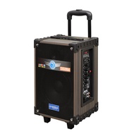 🔥 HANSUO🔥 8 & 12 inch bluetooth karaoke speaker 16000 PMPO watt