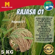 Benih Padi unggul Rajasa 01 bibit padi 5kg (',')