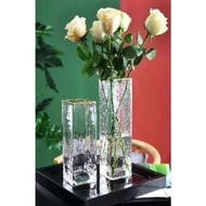 SG Stock]Staight Glass Vase Gold Rim Hammer Tone Modern Ins Style Thick Glass Vase Flower Arrangement Avase321