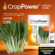 TOP RATED 🌟 (50 GRAM) Biji Benih Sawi Putih Jumbo Green 绿珍 CX9 CROP POWER F1 Hybrid Caixin seeds 菜心种