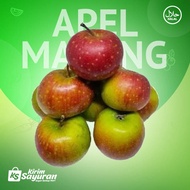 Apel Malang / Buah Apel Malang Segar / 1 Kg (Buah Segar)