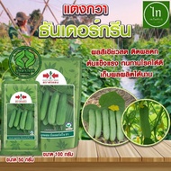 50g Timun Baby THUNDER GREEN F1 Biji Benih Timun Batang Mini Hybrid Cucumber Seeds Panah Merah East 