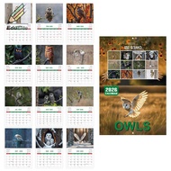 EduElite New 2026 Calendar - 12 Month Owles Wall Calendar Fun Cute Home Decor For Scheduling And Mor