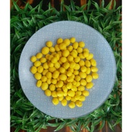 Kacang Soya Kuning 1000g