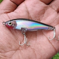 Umpan Casting Hampala Pencil Swimbait Lure Factory