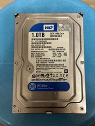 WD Blue desktop hard drive 1TB 硬碟