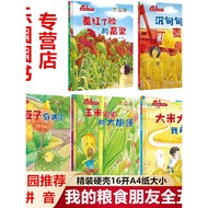 My Food Friends Picture Book All Five Books Kindergarten 3-6 Years Old Children Hardcover Hardcover 