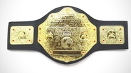 WWE WORLD HEAVYWEIGHT WRESTLING CHAMPIONSHIP TITLE BELT