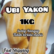 Ubi yacon 1KG/Ubi Yakon/fresh