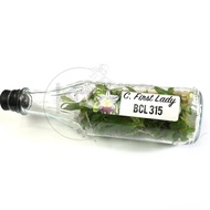 Anggrek Cattleya koleksi dalam botol | Bibit Anggrek Cattleya botolan