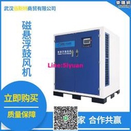 直空氣懸浮離心鼓風機 空氣懸浮軸承高速離心鼓風 螺桿式壓縮機