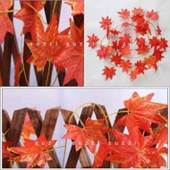 Maple leaf autumn vine maple leaf