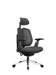 PROFLEX BENITO 人體工學高背扶手轉椅660W x 710D x 1140-1220Hmm