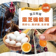 【初品果】 富立牧場靈芝機能雞蛋_白蛋30顆x1盒