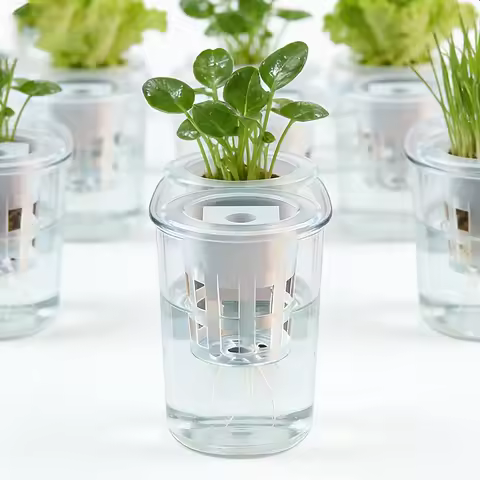 Hydroponic Seedling Basket Set of 10, With 10 Baskets & 10 Seed Sponges, Stable Seed Fixing to Avoid