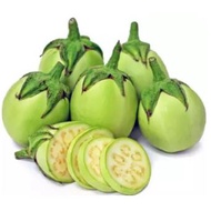Apple green aubergine eggplant seed( Nightshade)