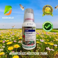 STAMPEDE 5SC Insecticide Chlorantraniliprole 250ml