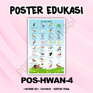 Poster Edukasi HEWAN DARAT - Poster edukasi anak