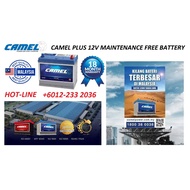 Camel Plus NS40ZL Maintenance Free Battery