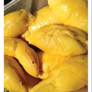 PACKAGE 3 POKOK DURIAN D197 MUSANG KING
