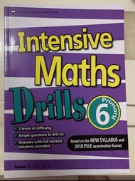 Intensive Maths Drills Primary 6
