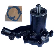 Replacement part Water Pump Assembly for Challenger, Massey Ferguson  3600 4400 5000 Series, Valmet 