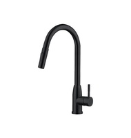 【MULTI百工居室】MIT製造MTK30STMB伸縮檯面鵝頸龍頭_不鏽鋼霧黑