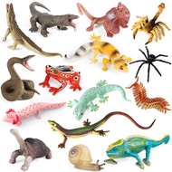 Jungle Reptile Model Simulation Palace Lizard Gecko Oyster Snail Salamander Giant Lizard Scorpion Ce