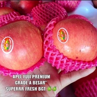apel fuji premium buah segar 1KG