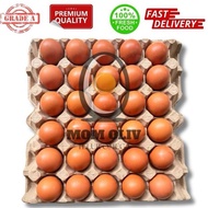 Omega 3 Premium Grade Chicken Eggs a - 30 Eggs 1 Tray HT