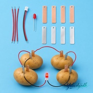 YRBWDYZDH Fruit Battery Science Experiment Kit, Bio Energy Potato Powered Electricity Experiments Sc