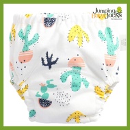 Earth Bebe Training Pants - Cactus