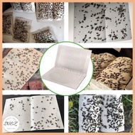 Fly Sticker Fly Trap Catcher Lizard Trap