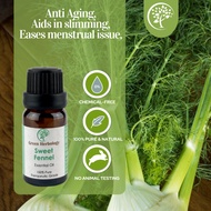 Natural Sweet Fennel Essential Oil Malaysia