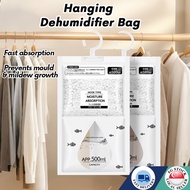 🇸🇬10pcs Hanging Dehumidifier Bag Moisture Absorber | Cabinets, Toilet, Curtain Rod | Humidity Mold P