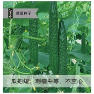 Cucumber seeds/Biji timun/黄瓜种子/Vegetable seeds